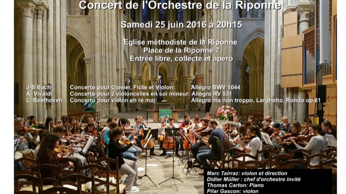 L'Orchestre Amati