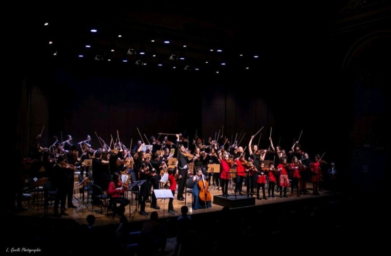 L'Orchestre Amati