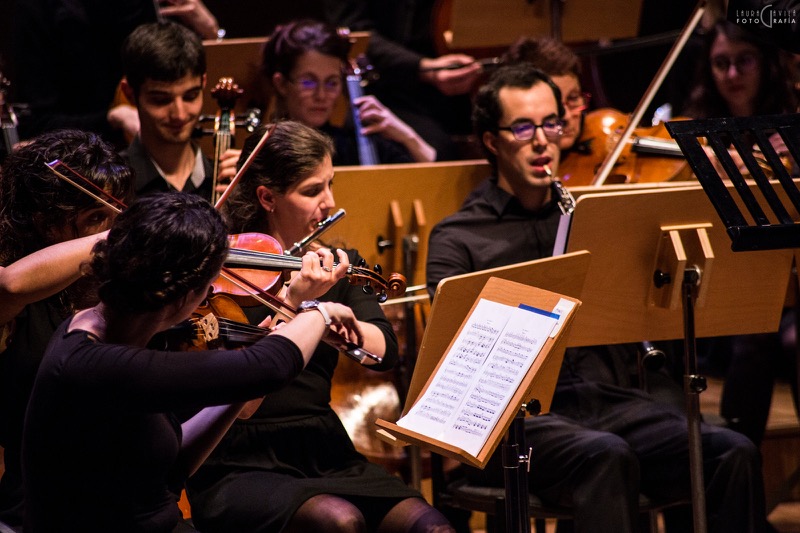 L'Orchestre Amati