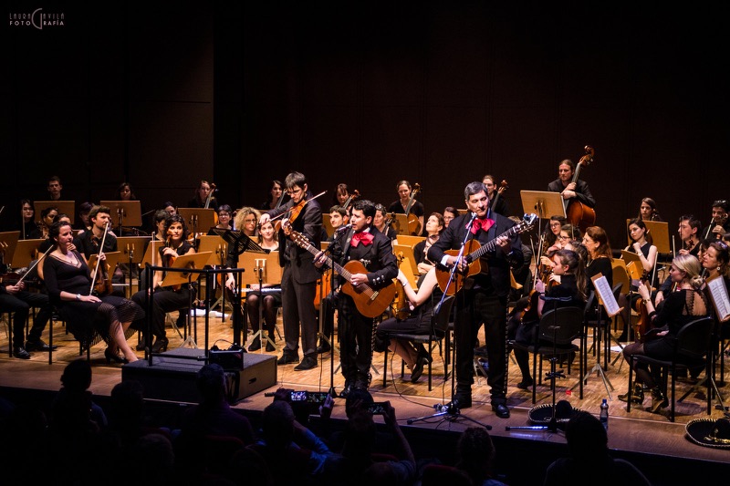 L'Orchestre Amati