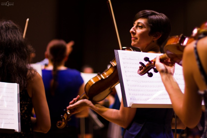 L'Orchestre Amati