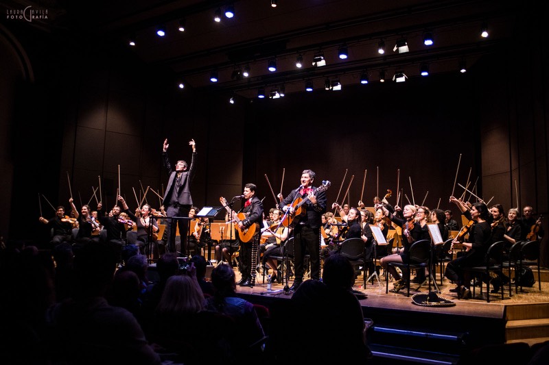 L'Orchestre Amati