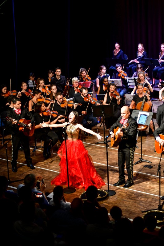 L'Orchestre Amati