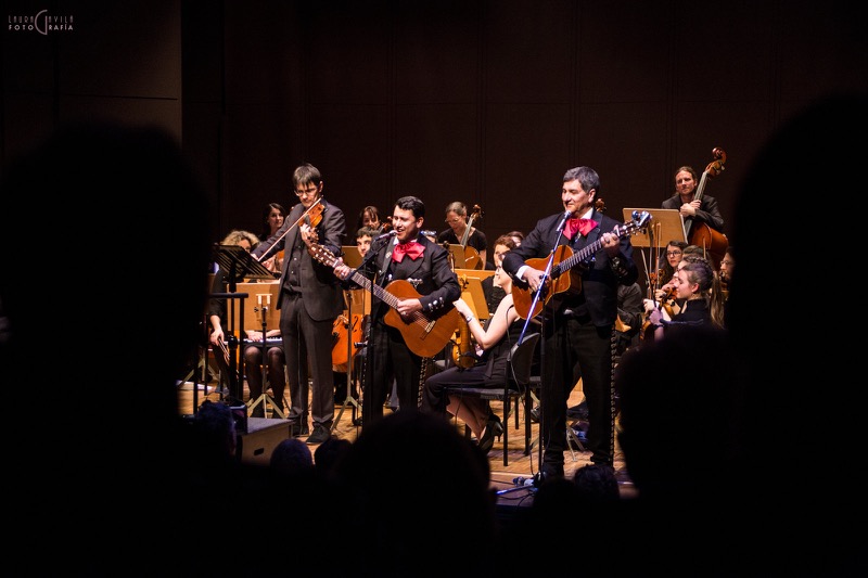 L'Orchestre Amati