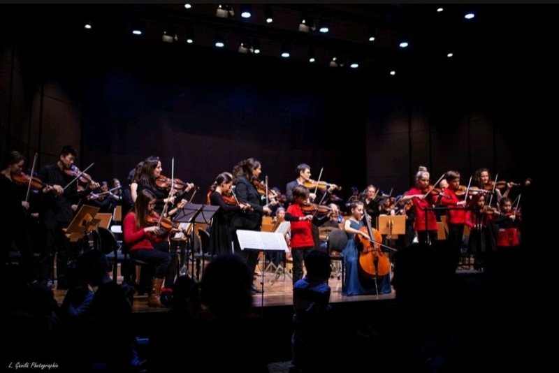 L'Orchestre Amati