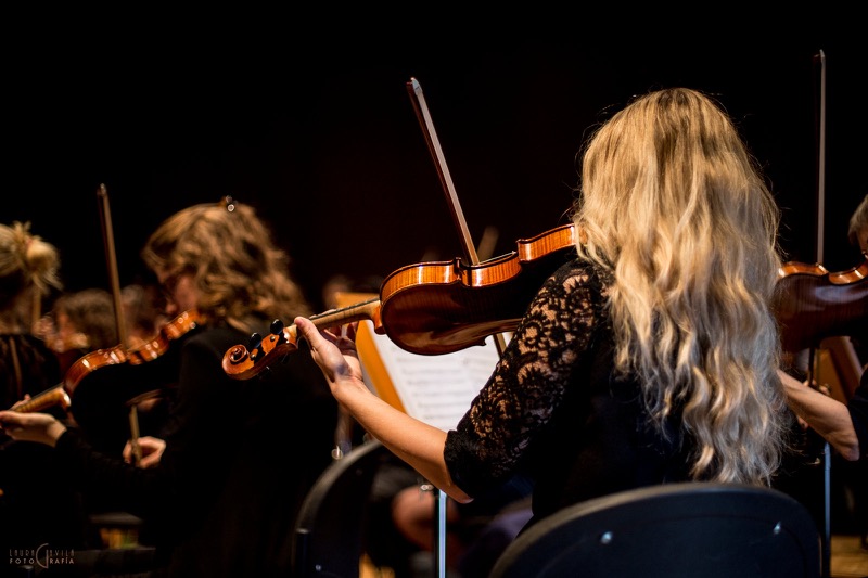 L'Orchestre Amati